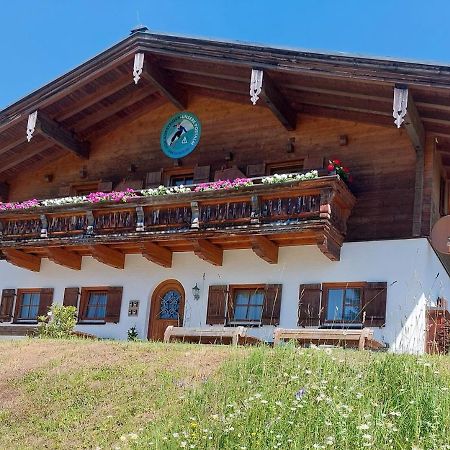 Haus Obweg - Postalm Aparthotel Hallein Exterior photo